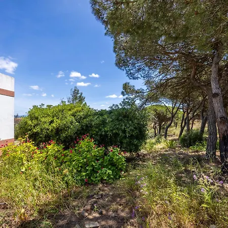 Casa Da Mata Hidden Nature Gem Near Lagos Villa
