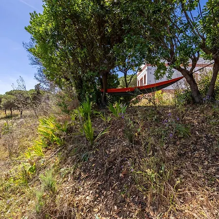 Villa Casa Da Mata Hidden Nature Gem Near Lagos